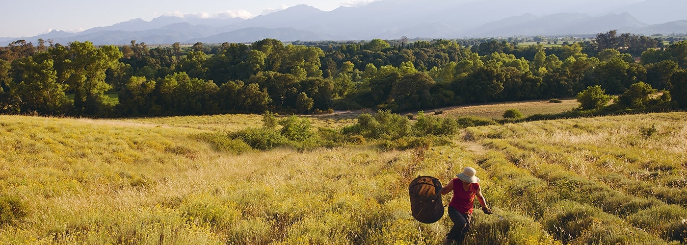 sustainable sourcing banner